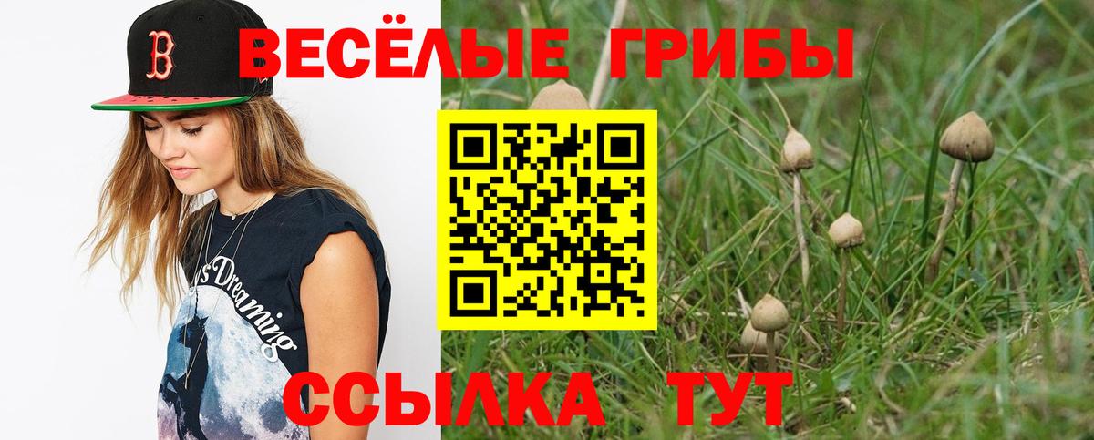 закладки  Псилоцибиновые грибы Psilocybe  Вход с VPN  Янаул 